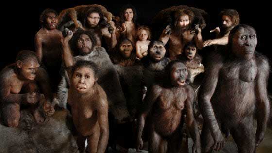 Ricostruzione evoluzione uomo