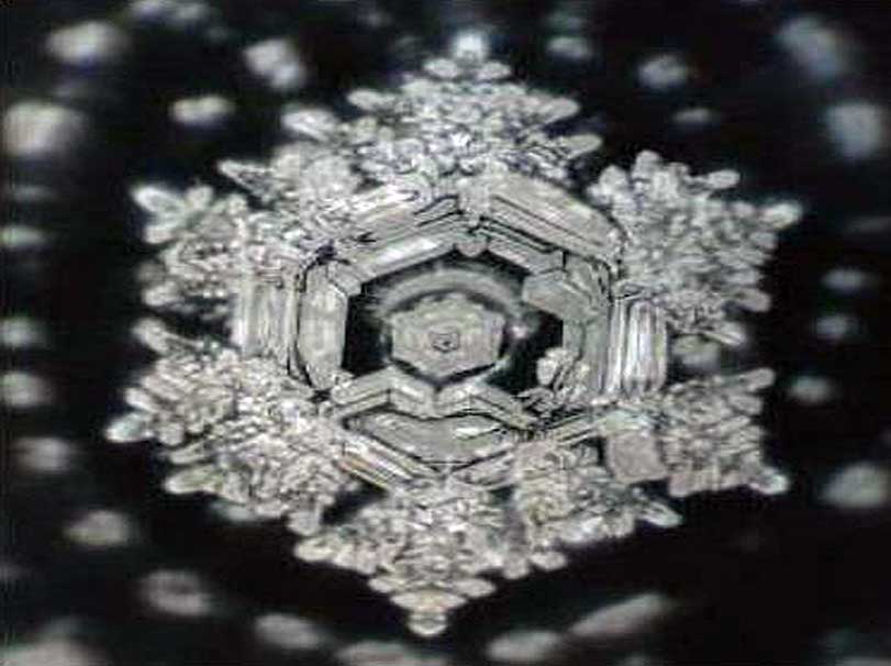 Crystal after the offering of collective prayer